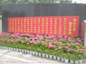 花卉綠植租借服務(wù) 為會(huì)議活動(dòng)慶典注入盎然生機(jī)